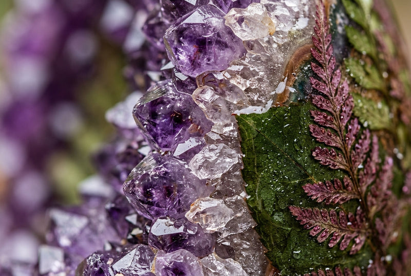 Altai Beauty Secrets: Using Antioxidants in Shilajit to Support Collagen and Skin Elasticity