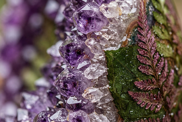 Altai Beauty Secrets: Using Antioxidants in Shilajit to Support Collagen and Skin Elasticity