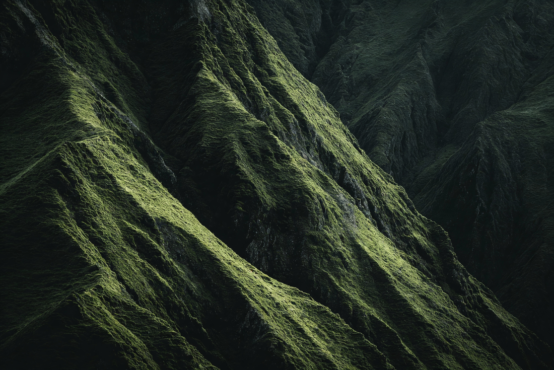 The Ultimate Shilajit Guide: Why Source Matters for Health Benefits