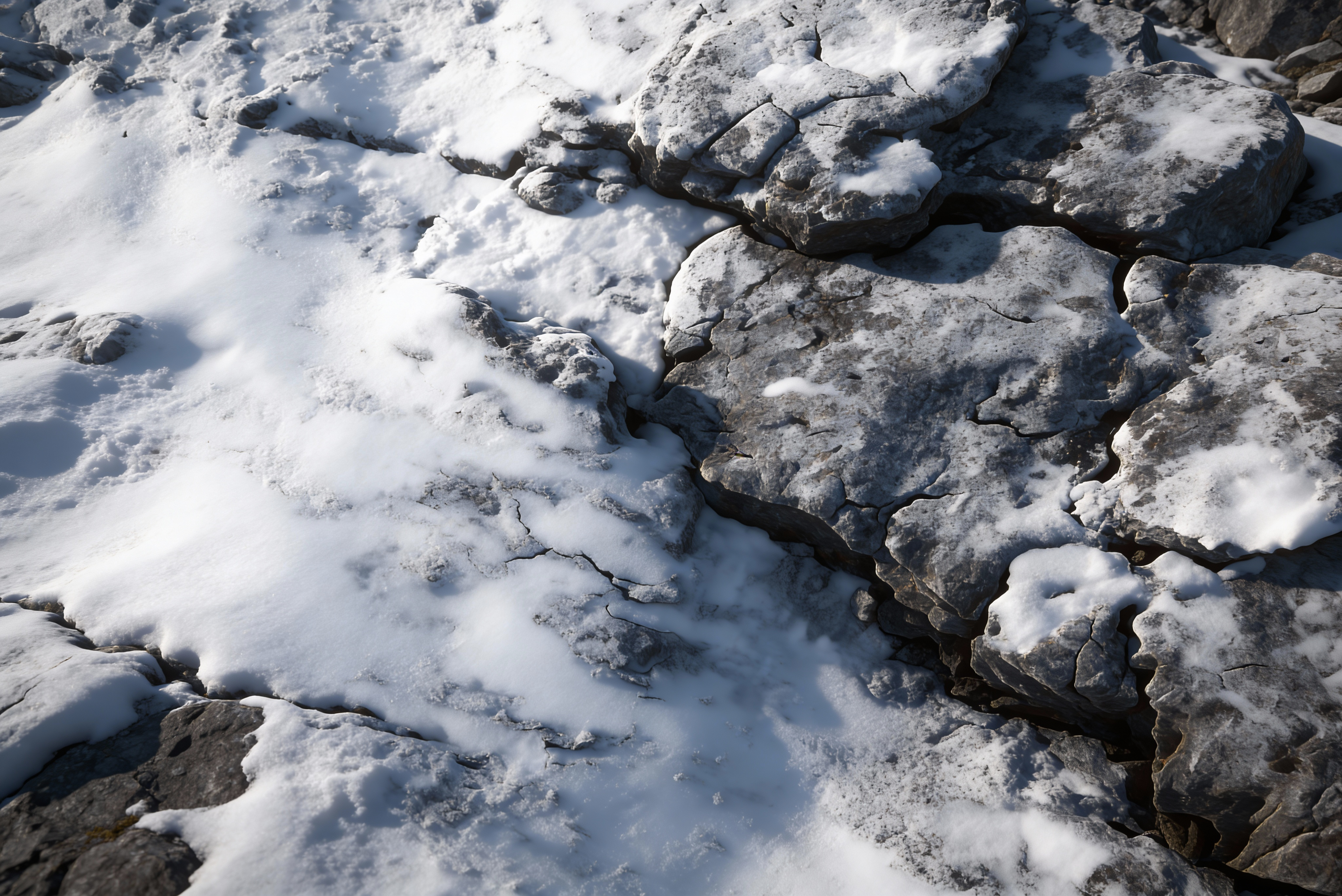 Shilajit: Your Winter Wellness Secret