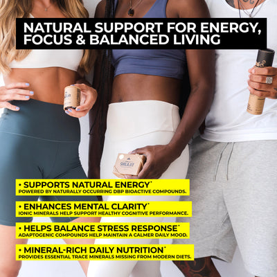 Natural Shilajit Resin (20 Grams)