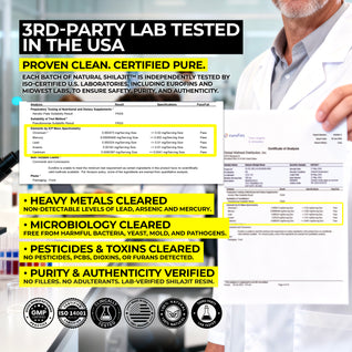 Natural Shilajit Resin (20 Grams)