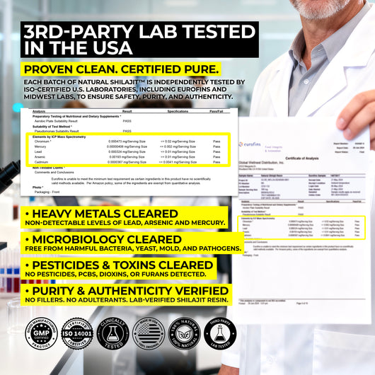 Natural Shilajit Resin (20 Grams)