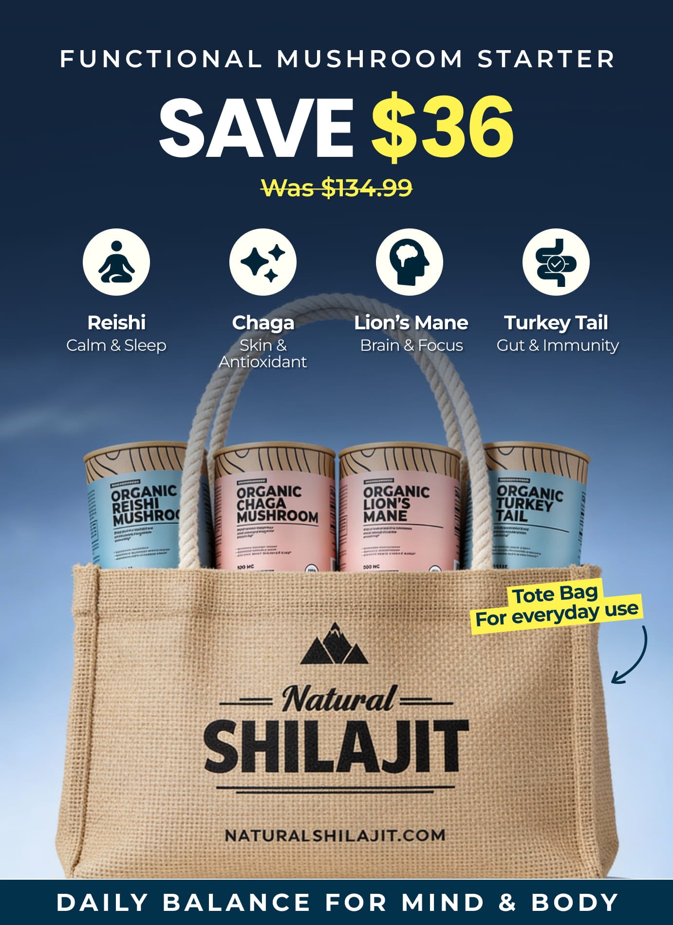 Functional Mushroom Starter – Natural Shilajit Resin