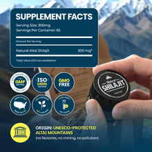 Natural Shilajit Resin (20 Grams)