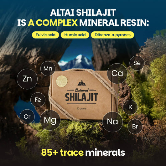 Natural Shilajit Resin (20 Grams)