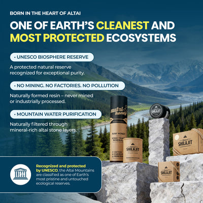 NutriHoney (30 Sticks) - Mix of Natural Shilajit Resin & Raw Honey