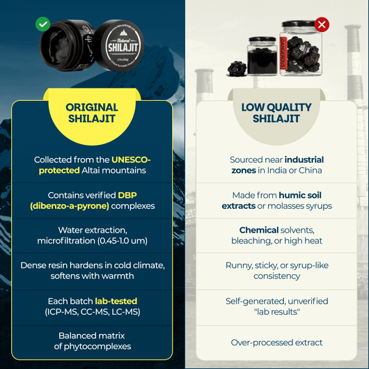 NutriHoney (30 Sticks) - Mix of Natural Shilajit Resin & Raw Honey