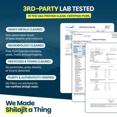 NutriHoney (30 Sticks) - Mix of Natural Shilajit Resin & Raw Honey