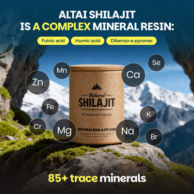 Natural Shilajit (60 Veg Tabs)