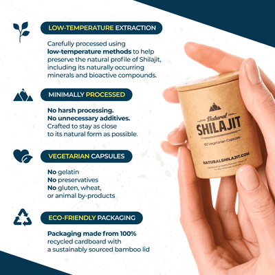 Natural Shilajit (60 Veg Tabs)