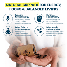 Natural Shilajit (60 Veg Tabs)