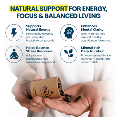 Natural Shilajit (60 Veg Tabs)