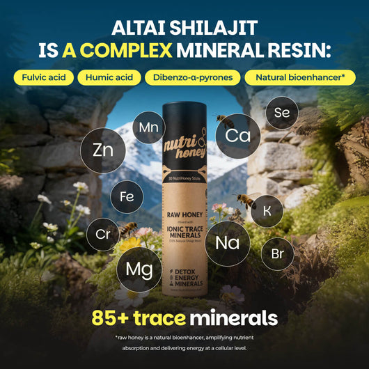 NutriHoney (30 Sticks) - Mix of Natural Shilajit Resin & Raw Honey