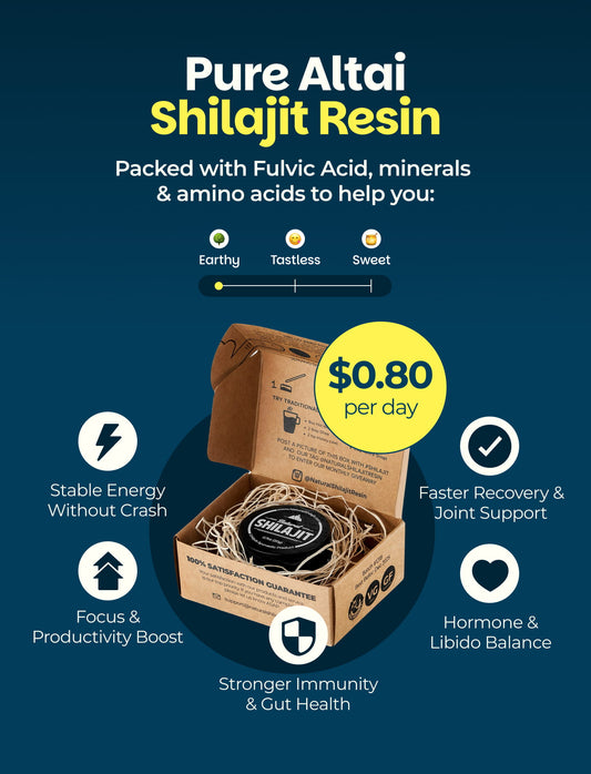 Natural Shilajit Resin (20 Grams)