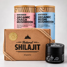 24/7 Energy & Recovery Stack (Shilajit + Chaga + Reishi)