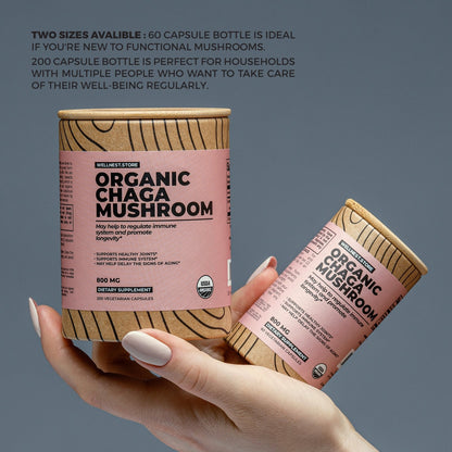 Organic Chaga Mushroom