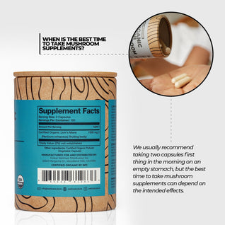 Organic Lions Mane Mushroom