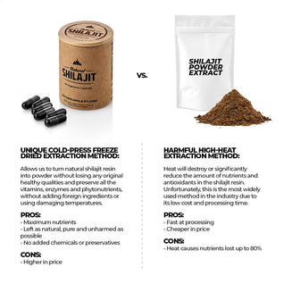 Natural Shilajit (60 Veg Tabs)