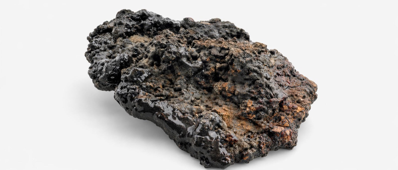 A dark, glossy shilajit resin rock with black and amber-brown bulbous surface, isolated on a light background