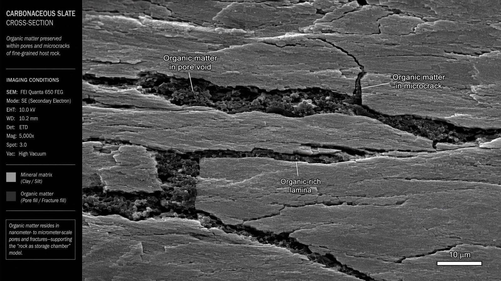 Annotated SEM cross-section of carbonaceous slate showing organic matter preserved in pore voids and microcracks of the fine-grained host rock